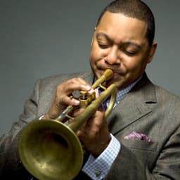 Wynton Marsalis profile